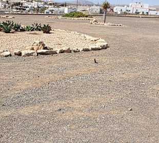 Las Salinas & Salzmuseum Puerto de la Torre