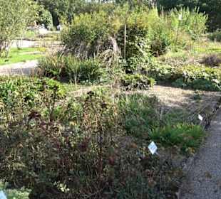 Botanischer Garten München