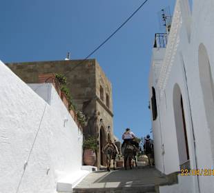 Esel auch für die, die sind nicht fit genug