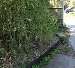 Japangarten Stuttgart