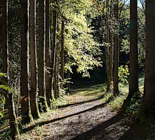 Wandern St. Gallen