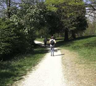 Wanderweg Hochgehwachsen