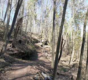Rodalber Felsenwanderweg in Rodalben