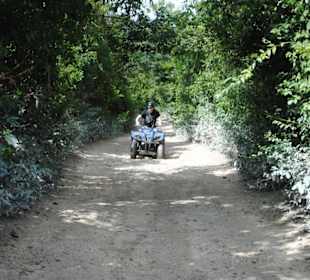 ATV
