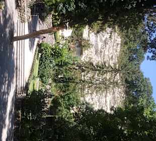 Schöne Gartenanlagen am Kloster