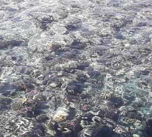 Rosetta 3  3 Riff zum Schnorcheln