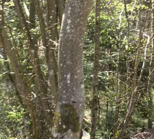 Wanderung Florianrunde