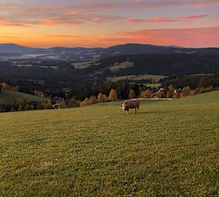 Wandern St. Jakob im Walde