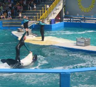 Miami Seaquarium