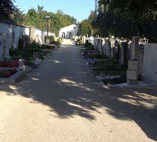 Ostenfriedhof