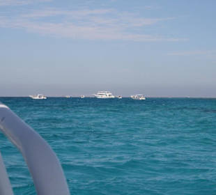 Aussicht vom Glasboot