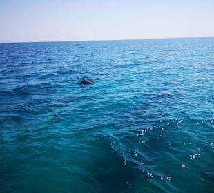 Ein letztes Mal vom Boot aus gesehen 