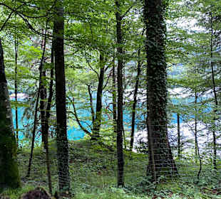 Wandern