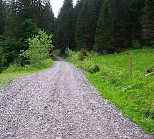 Zum Grünsee fast da