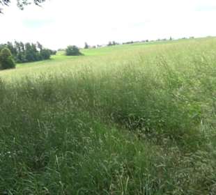 Premiumwanderweg "hochgehackert"