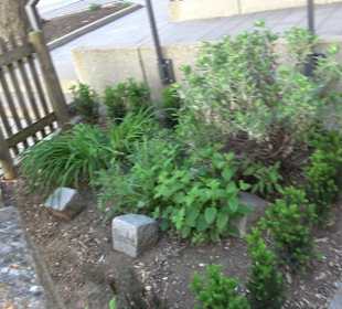 Medizinalgarten Nördlingen