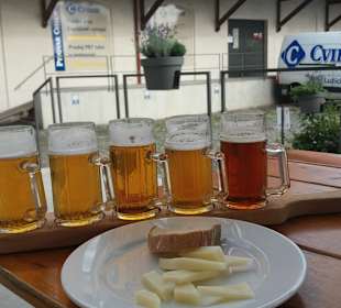 Stadtrundgang Cvikov