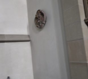 Stiftskirche