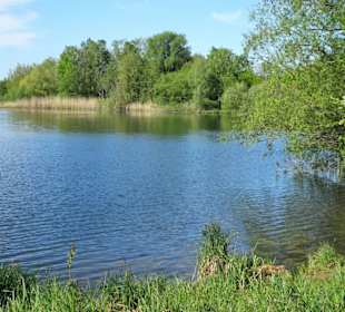 Eindrücke vom Hufeisensee im Wietzepark
