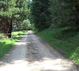 Wanderung Froschteich-Tour