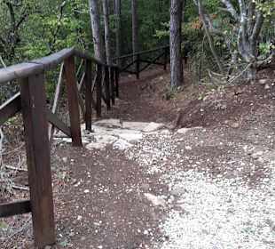 Einer der Waldwege zur ersten Quelle