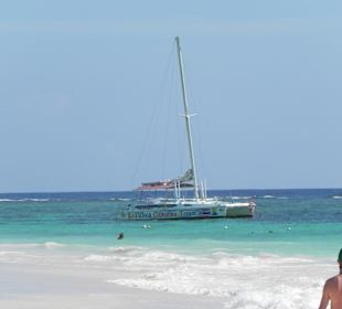 Viva Colonia Tropical