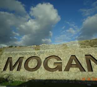 Mogan