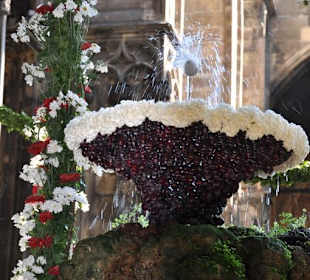 "Das hüpfende Ei" - nur in der Fronleichnamswoche