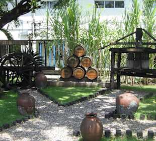 Auf dem Gelände der Rumfa. Brugal