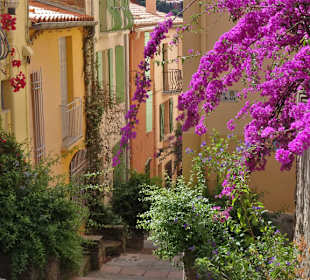 Frühling in der Altstadt von Collioure