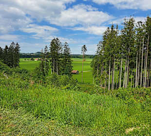 Wandern Leutkirch im Allgäu