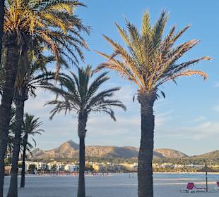 Strand Alcudia