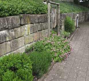 Benediktinerkloster Lorch