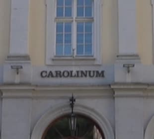 Seminarium Carolinum