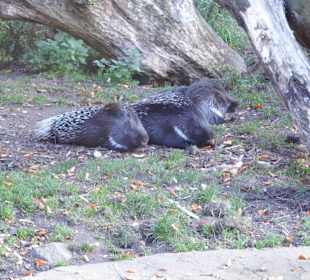 WP LH Herbst Impression