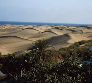 Dunas de Maspalomas