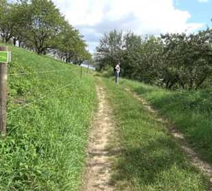 Hochgehnießen - Premiumspazierwanderweg
