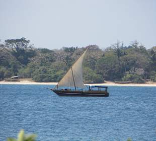 Traditionelles Segelboot vor Wasini