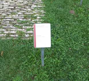 Gallorömischer Tempelbezirk