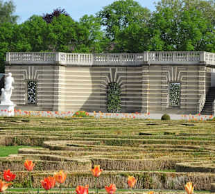 Im Parterre des Großen Gartens