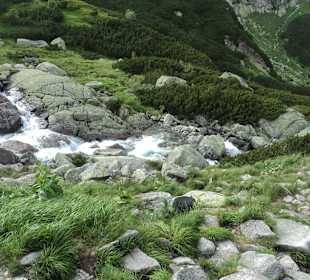 Tatrzański Park Narodowy