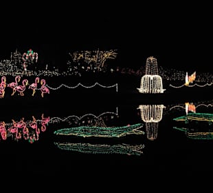 Magic Christmas in Lights