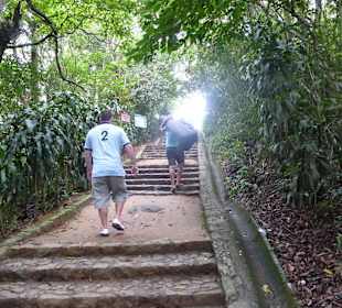 Treppen steigen zum Startpaltz