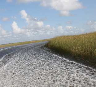 Auf dem Wasser im Airboat Gator Park