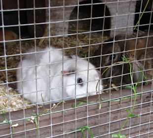 Restaurant Großen Garten