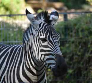 Tierpark Hamm 