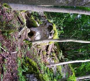 Hoch zum Pfarrfelsen