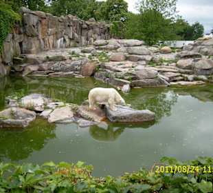 Besuch im Berliner Zoo