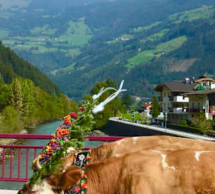 Zillertal Arena