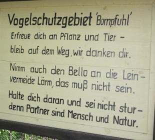 Der Bornpfuhl